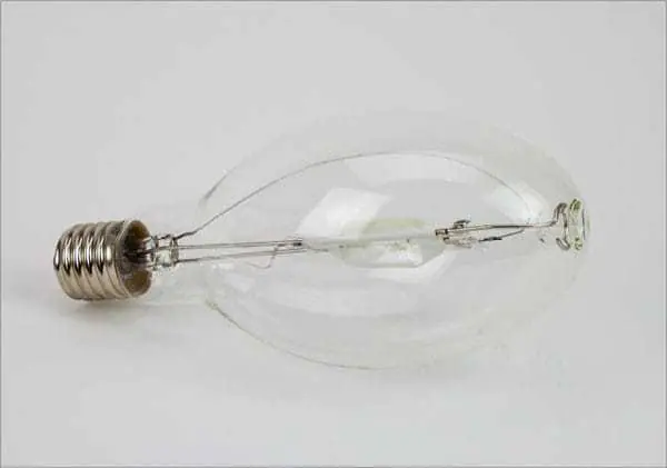 ⁨Bulb for halogen lamp⁩ at Wasserman.eu