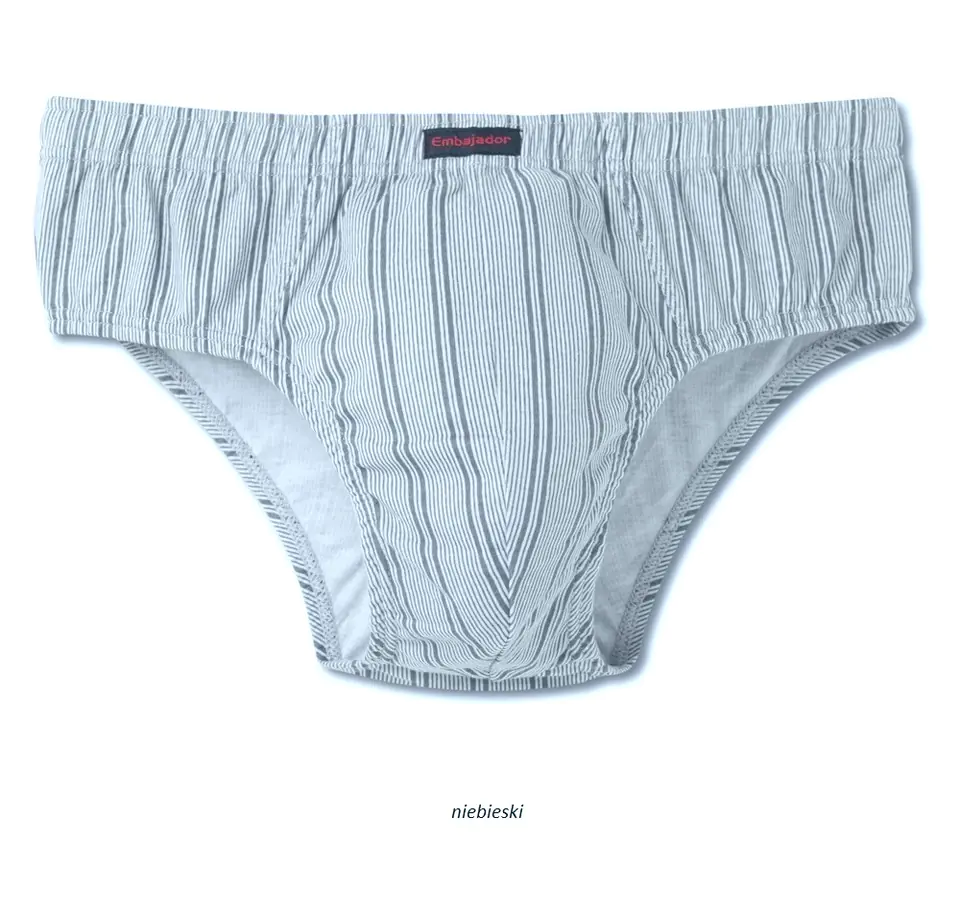 ⁨BRIEFY ATLANTIC EMBAJ EEP-046 (Grey colour, size L (40))⁩ at Wasserman.eu