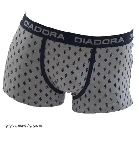 ⁨shorts DIADORA DIB 05923S (Khaki colour, size M (38))⁩ at Wasserman.eu