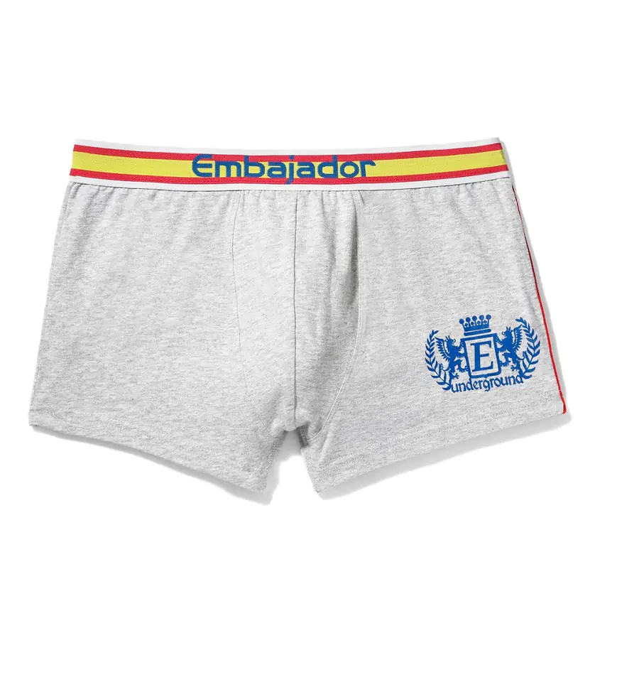 ⁨ATLANTIC EMBAJ SHORTS EEH-030 (Grey Colour XL (42))⁩ at Wasserman.eu