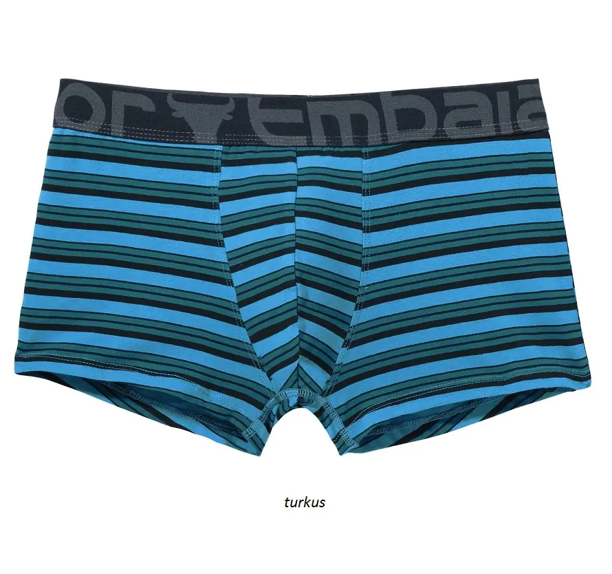 ⁨SZORTY ATLANTIC EMBAJ EEH-108 (kolor szary, rozmiar L)⁩ w sklepie Wasserman.eu
