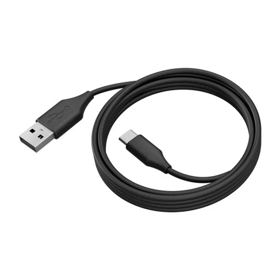 PanaCast 50 USB-A/C Cable 2m at Wasserman.eu