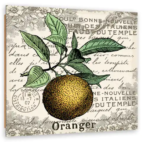 ⁨Obraz Deco Panel, Pomarańcza vintage (Rozmiar 50x50)⁩ w sklepie Wasserman.eu