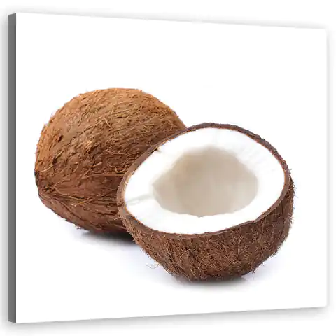 ⁨Obraz na płótnie, Owoce kokos (Rozmiar 40x40)⁩ w sklepie Wasserman.eu