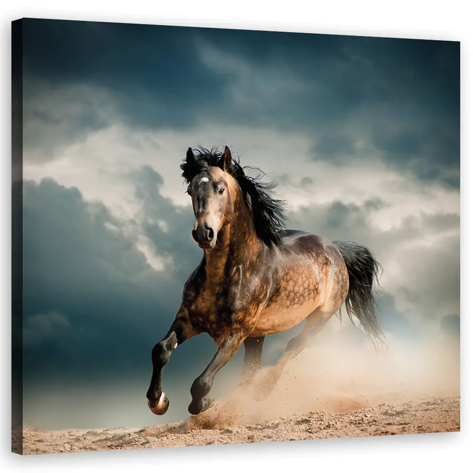 ⁨Obraz na płótnie, Galop konia (Rozmiar 30x30)⁩ w sklepie Wasserman.eu