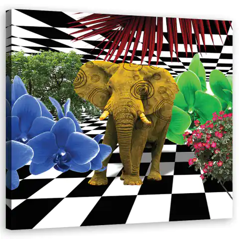 ⁨Obraz na płótnie, Kolorowy słoń (Rozmiar 40x40)⁩ w sklepie Wasserman.eu