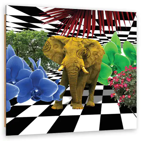 ⁨Obraz Deco Panel, Kolorowy słoń (Rozmiar 30x30)⁩ w sklepie Wasserman.eu