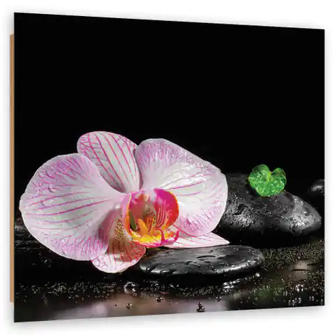 ⁨Obraz Deco Panel, Kwitnąca orchidea zen (Rozmiar 30x30)⁩ w sklepie Wasserman.eu