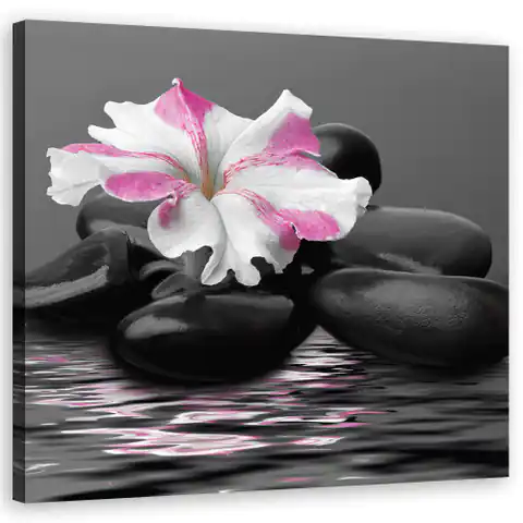 ⁨Obraz na płótnie, Kamienie, Kwiat, Różowy, Zen (Rozmiar 50x50)⁩ w sklepie Wasserman.eu