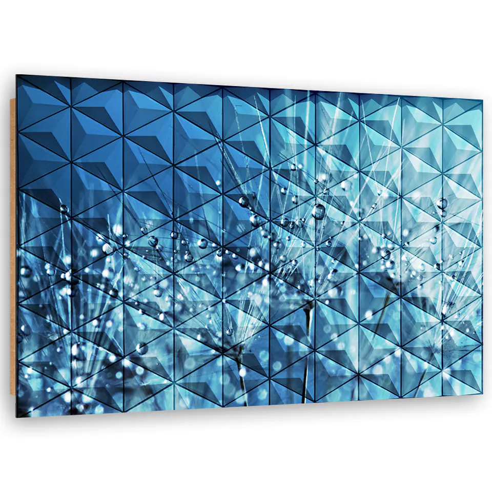 ⁨Obraz Deco Panel, Dmuchawiec w kroplach rosy (Rozmiar 60x40)⁩ w sklepie Wasserman.eu