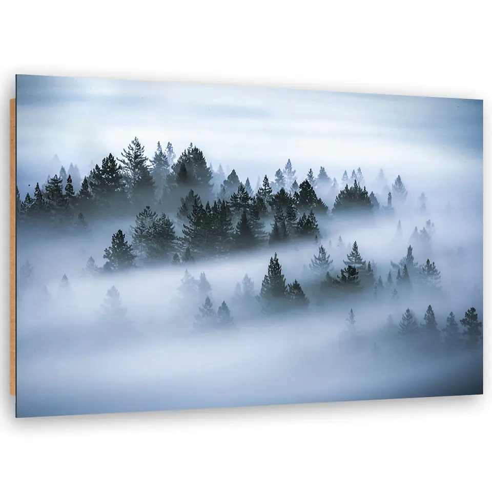 ⁨Obraz Deco Panel, Las we mgle (Rozmiar 60x40)⁩ w sklepie Wasserman.eu