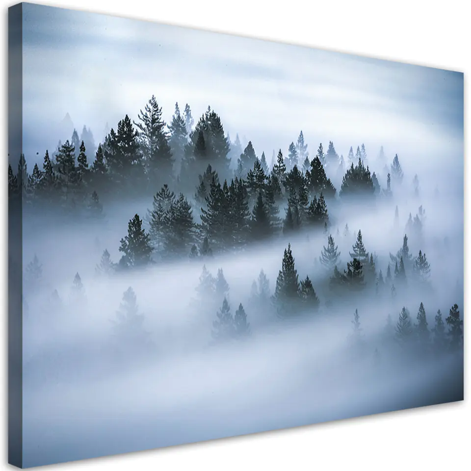 ⁨Obraz na płótnie, Las we mgle pejzaż (Rozmiar 60x40)⁩ w sklepie Wasserman.eu