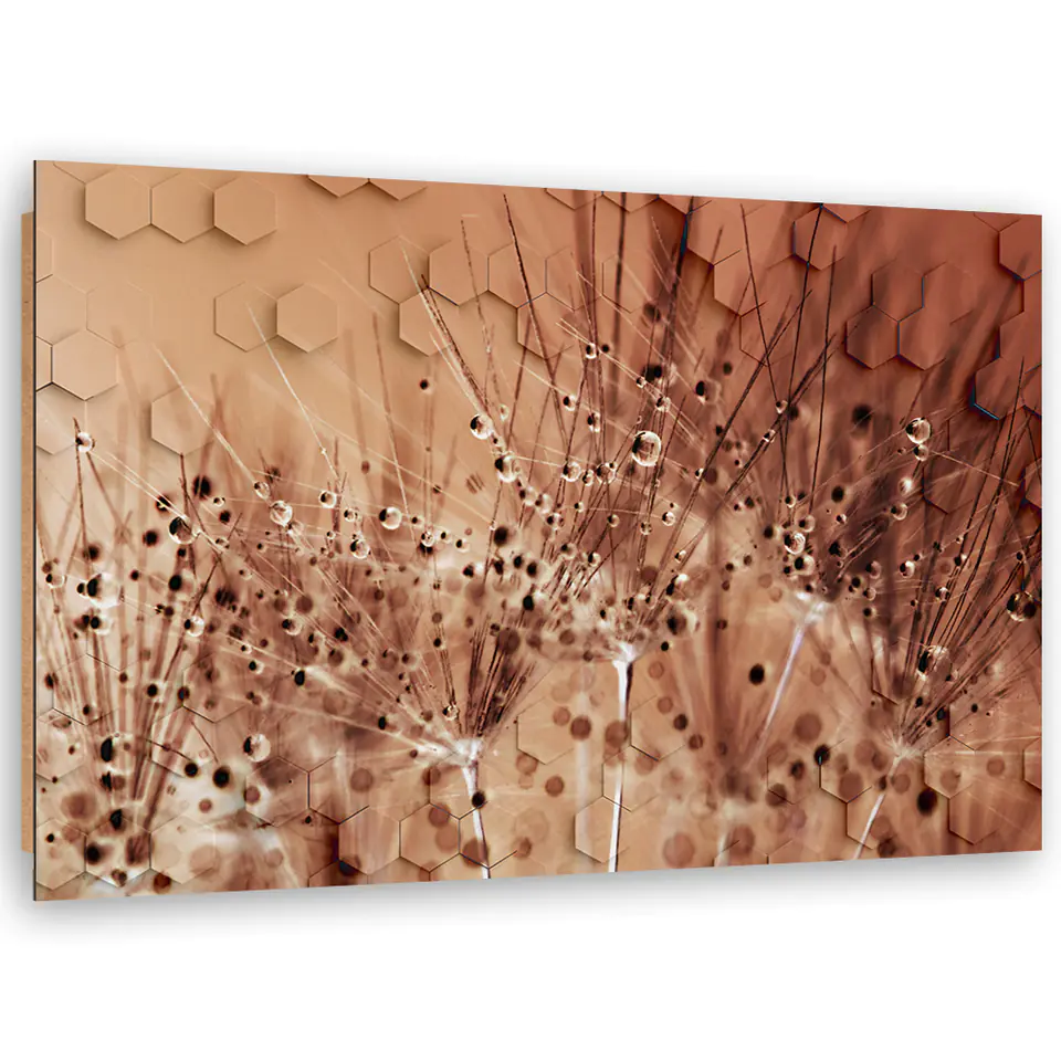 ⁨Obraz Deco Panel, Dmuchawce w kroplach rosy (Rozmiar 60x40)⁩ w sklepie Wasserman.eu