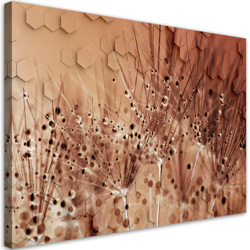 ⁨Obraz na płótnie, Dmuchawce w kroplach rosy (Rozmiar 60x40)⁩ w sklepie Wasserman.eu