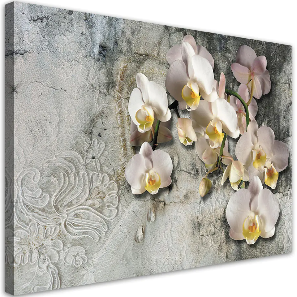 ⁨Obraz na płótnie, Słoneczne orchidee kwiaty (Rozmiar 60x40)⁩ w sklepie Wasserman.eu