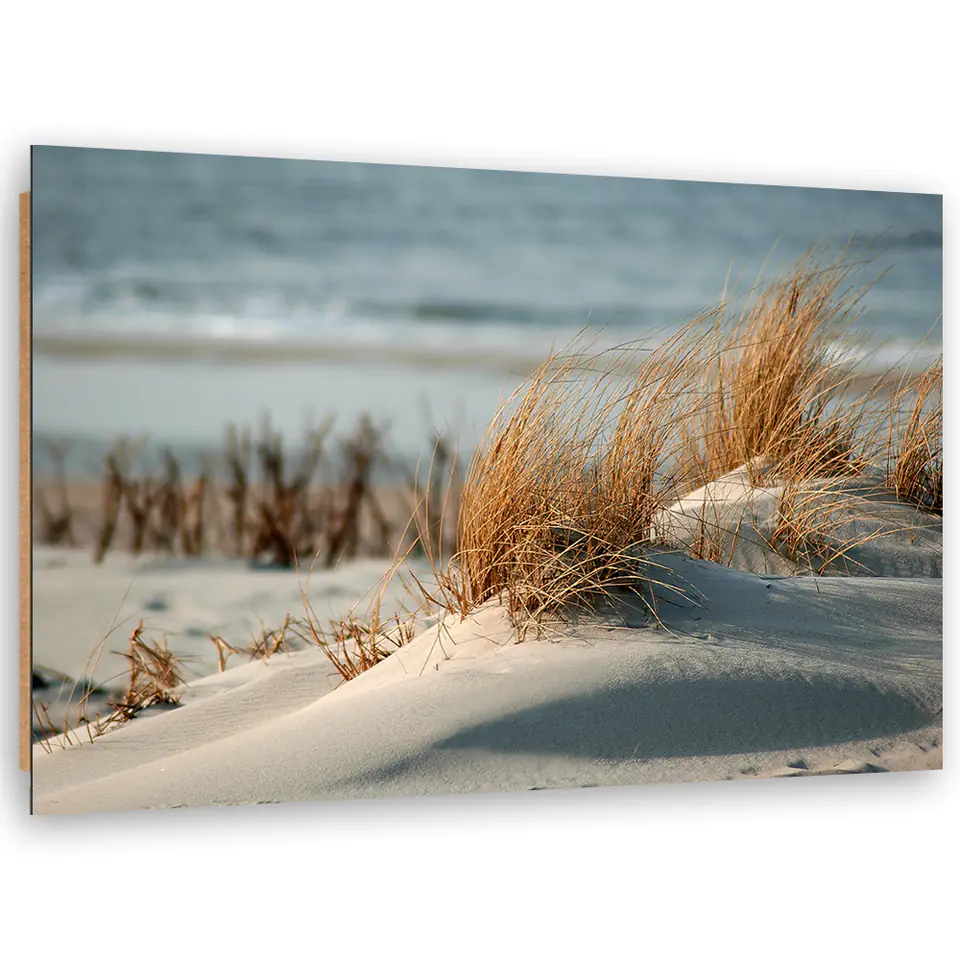 ⁨Obraz Deco Panel, Wydmy nad morzem (Rozmiar 60x40)⁩ w sklepie Wasserman.eu