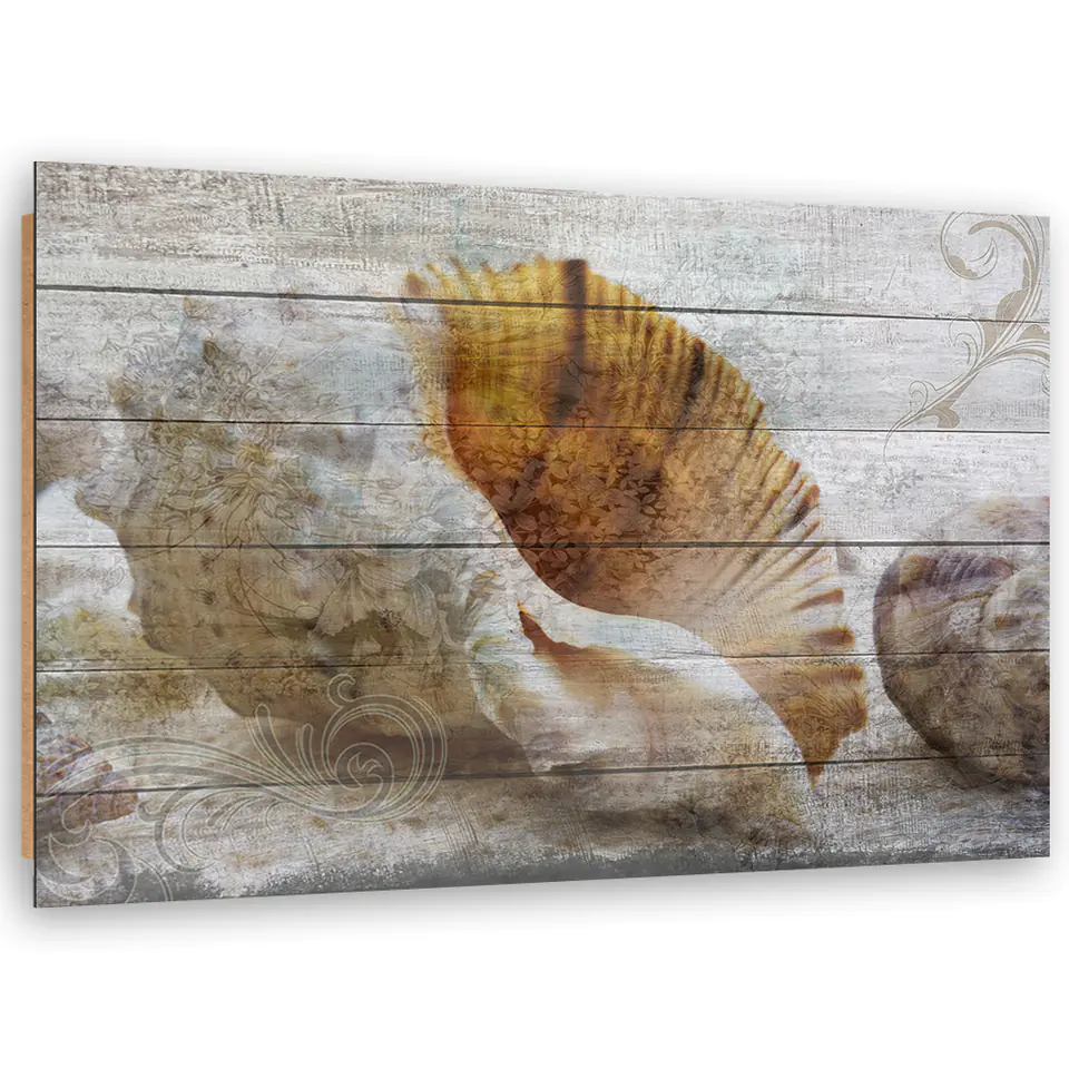 ⁨Obraz Deco Panel, Muszle w stylu vintage (Rozmiar 60x40)⁩ w sklepie Wasserman.eu