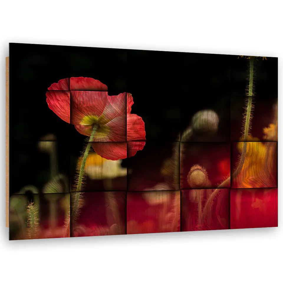 ⁨Obraz Deco Panel, Czerwony kwiat maku (Rozmiar 60x40)⁩ w sklepie Wasserman.eu