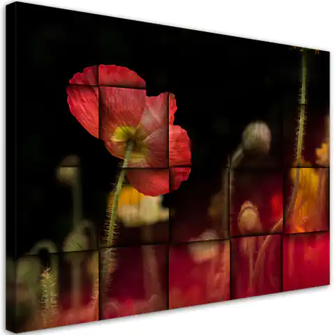 ⁨Obraz na płótnie, Czerwony kwiat maku (Rozmiar 120x80)⁩ w sklepie Wasserman.eu