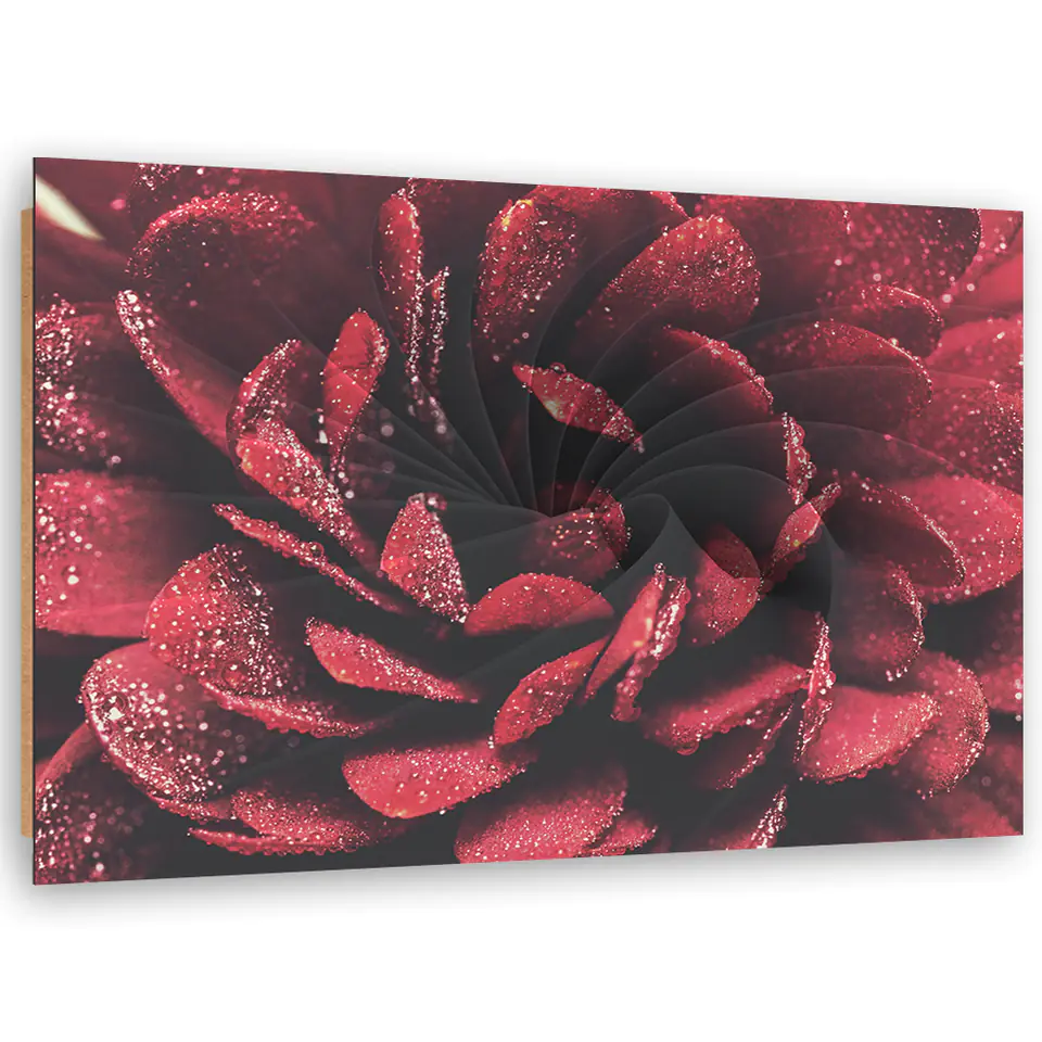 ⁨Obraz Deco Panel, Kwiat w skali makro (Rozmiar 60x40)⁩ w sklepie Wasserman.eu
