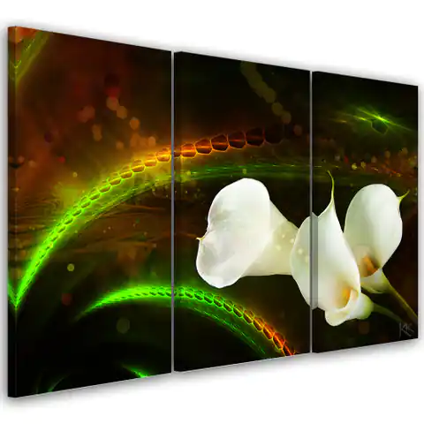 ⁨Obraz trzyczęściowy na płótnie, White flower on brown background (Rozmiar 120x80)⁩ w sklepie Wasserman.eu