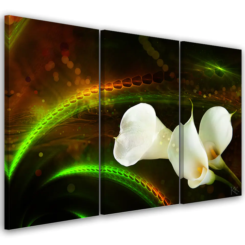 ⁨Obraz trzyczęściowy na płótnie, White flower on brown background (Rozmiar 60x40)⁩ w sklepie Wasserman.eu