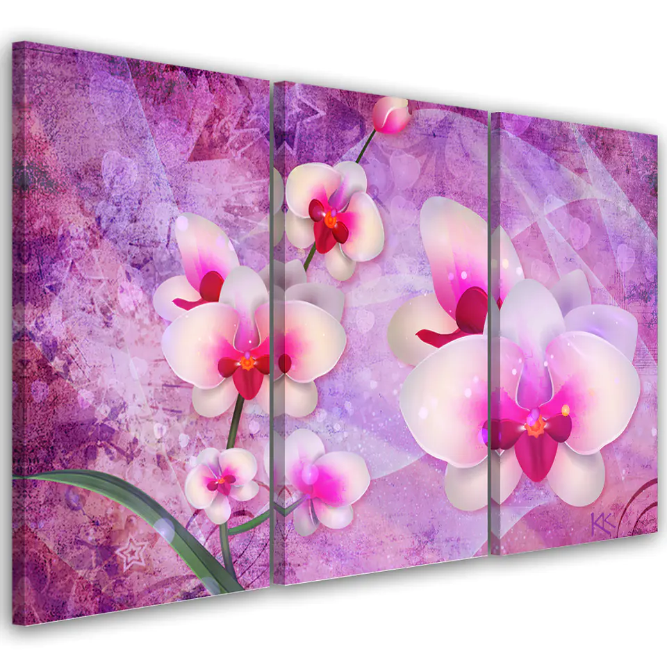 ⁨Obraz trzyczęściowy na płótnie, Orchidea Kwiaty Abstrakcja (Rozmiar 60x40)⁩ w sklepie Wasserman.eu