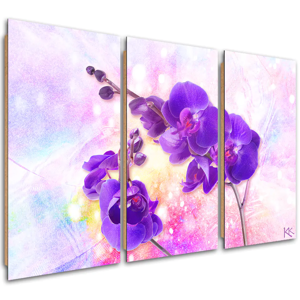 ⁨Obraz trzyczęściowy Deco Panel, Fioletowy kwiat orchidei (Rozmiar 120x80)⁩ w sklepie Wasserman.eu