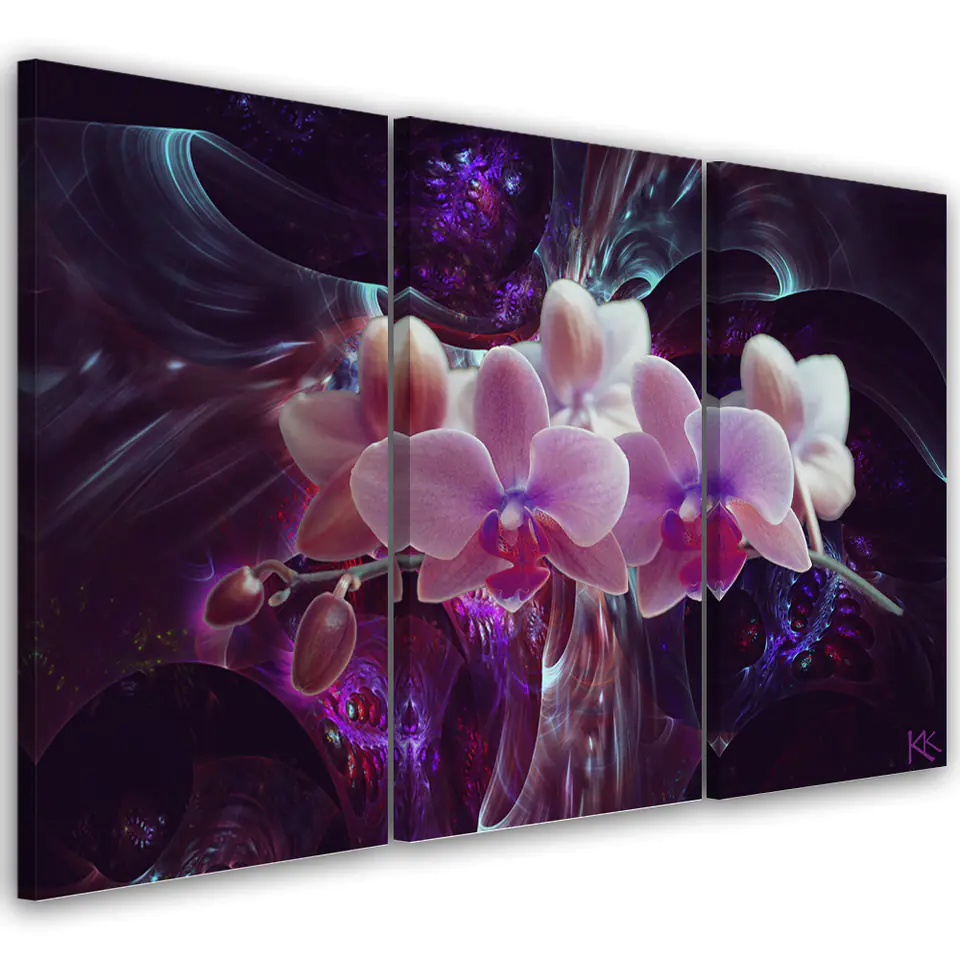 ⁨Obraz trzyczęściowy na płótnie, Biała orchidea na ciemnym tle (Rozmiar 60x40)⁩ w sklepie Wasserman.eu