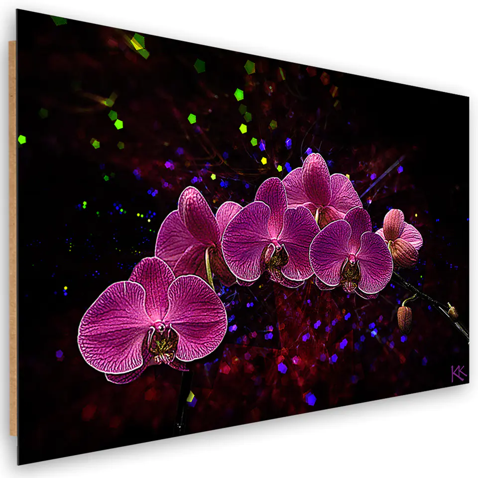 ⁨Obraz Deco Panel, Orchidea na ciemnym tle (Rozmiar 60x40)⁩ w sklepie Wasserman.eu