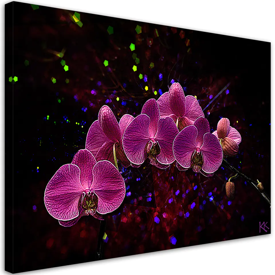 ⁨Obraz na płótnie, Orchidea na ciemnym tle (Rozmiar 60x40)⁩ w sklepie Wasserman.eu