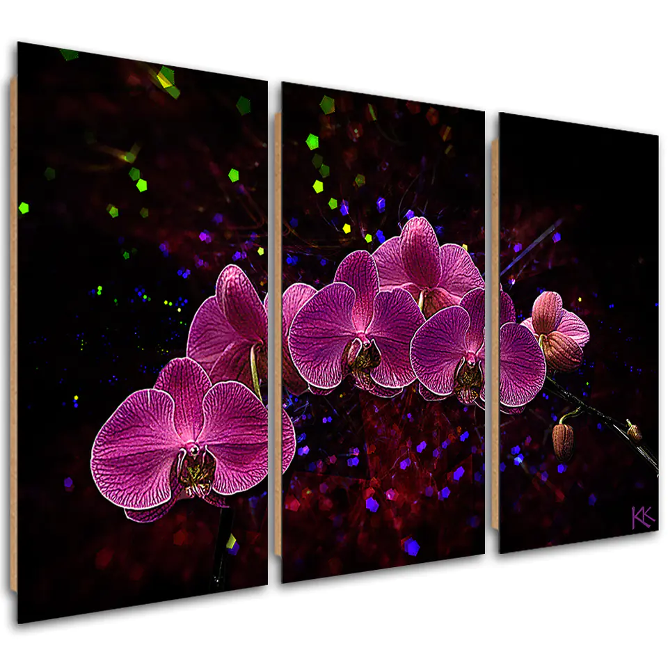 ⁨Obraz trzyczęściowy Deco Panel, Orchidea na ciemnym tle (Rozmiar 120x80)⁩ w sklepie Wasserman.eu