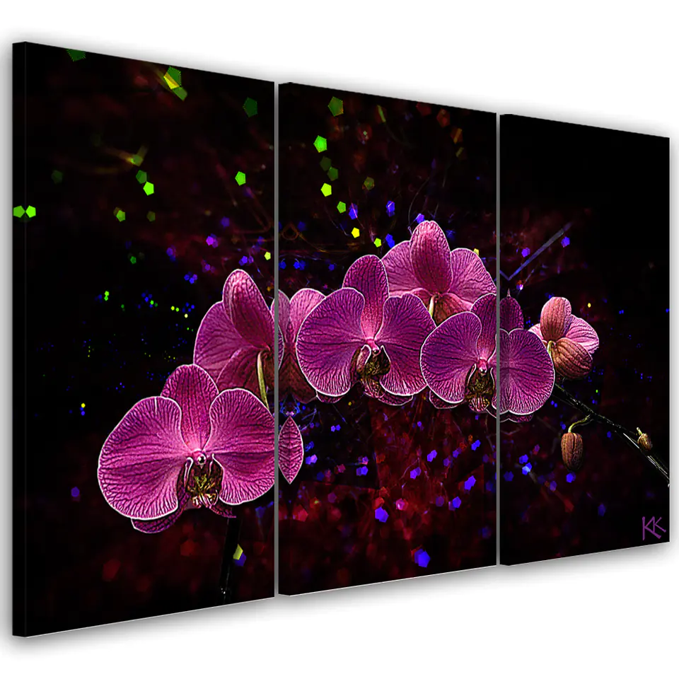 ⁨Obraz trzyczęściowy na płótnie, Orchidea na ciemnym tle (Rozmiar 60x40)⁩ w sklepie Wasserman.eu