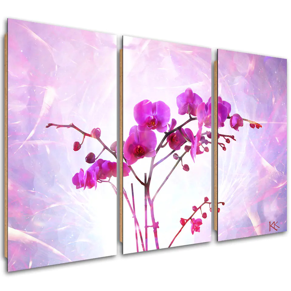 ⁨Obraz trzyczęściowy Deco Panel, Eteryczna orchidea (Rozmiar 120x80)⁩ w sklepie Wasserman.eu