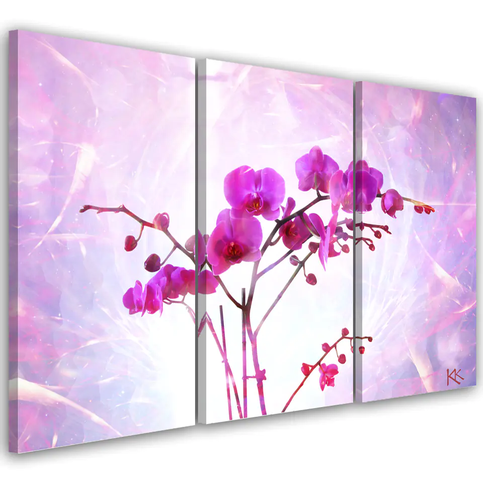 ⁨Obraz trzyczęściowy na płótnie, Eteryczna orchidea (Rozmiar 60x40)⁩ w sklepie Wasserman.eu