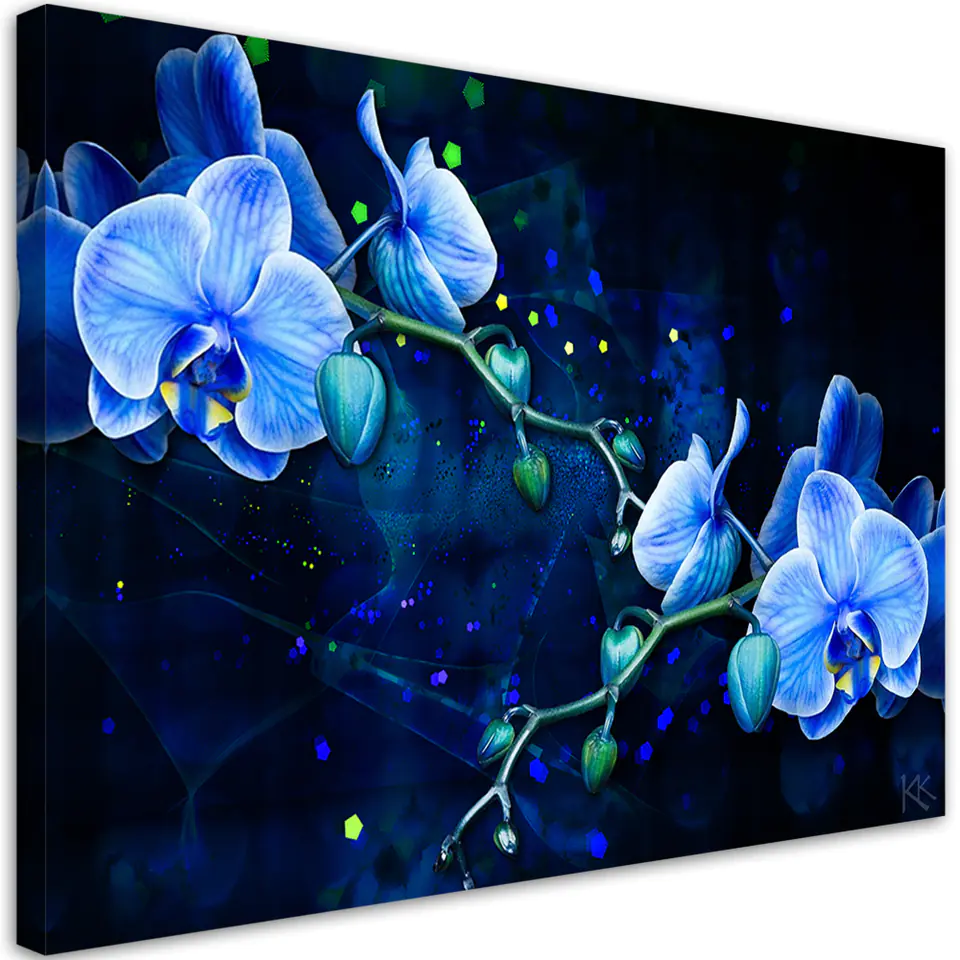 ⁨Obraz na płótnie, Niebieski kwiat orchidei (Rozmiar 90x60)⁩ w sklepie Wasserman.eu
