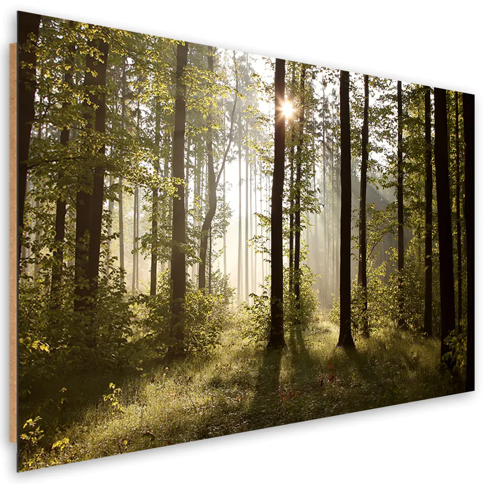⁨Obraz Deco Panel, Poranek w lesie (Rozmiar 60x40)⁩ w sklepie Wasserman.eu