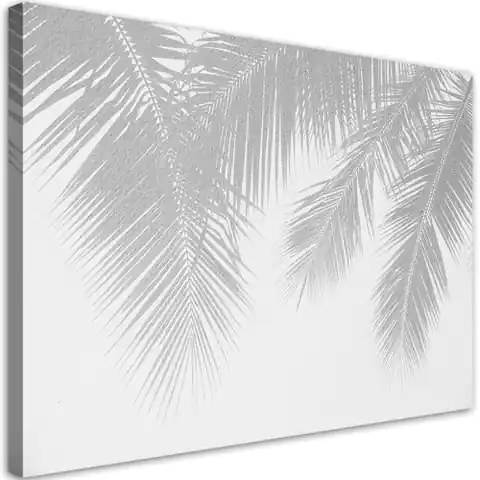 ⁨Obraz na płótnie, Szare liście palmy (Rozmiar 60x40)⁩ w sklepie Wasserman.eu