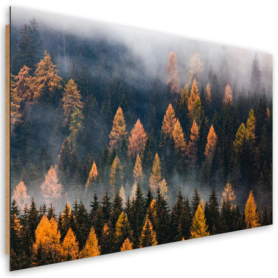 ⁨Obraz Deco Panel, Jesienny krajobraz drzew (Rozmiar 60x40)⁩ w sklepie Wasserman.eu