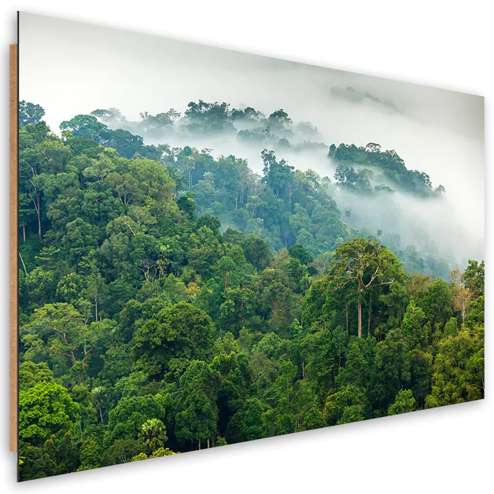 ⁨Obraz Deco Panel, Las we mgle (Rozmiar 60x40)⁩ w sklepie Wasserman.eu