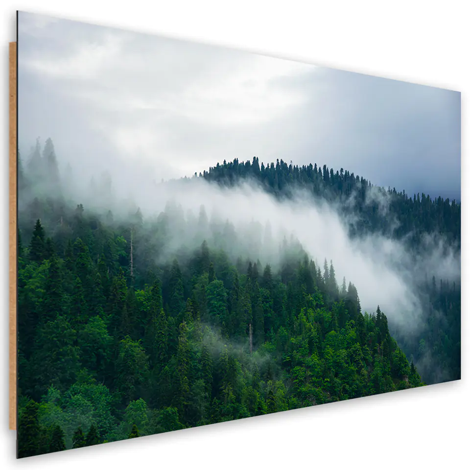 ⁨Obraz Deco Panel, Las we mgle (Rozmiar 60x40)⁩ w sklepie Wasserman.eu