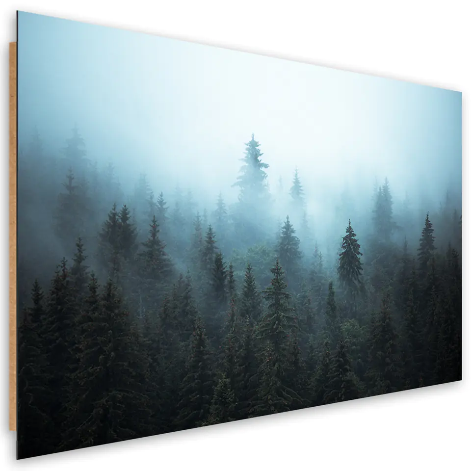 ⁨Obraz Deco Panel, Las we mgle (Rozmiar 60x40)⁩ w sklepie Wasserman.eu