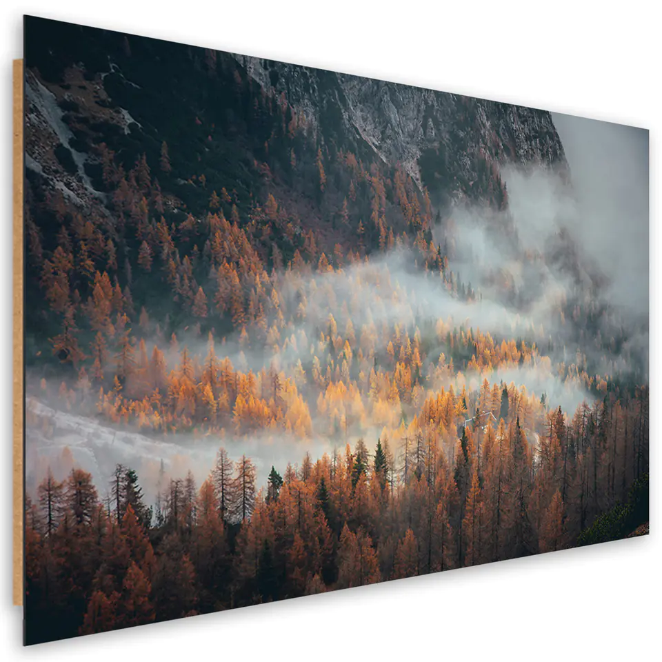 ⁨Obraz Deco Panel, Las we mgle (Rozmiar 60x40)⁩ w sklepie Wasserman.eu