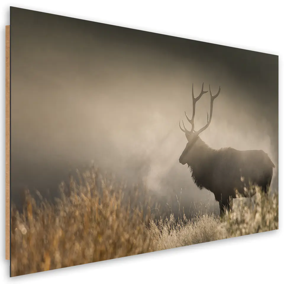 ⁨Obraz Deco Panel, Jeleń we mgle natura (Rozmiar 60x40)⁩ w sklepie Wasserman.eu