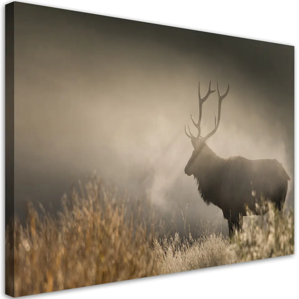 ⁨Obraz na płótnie, Jeleń we mgle natura (Rozmiar 60x40)⁩ w sklepie Wasserman.eu
