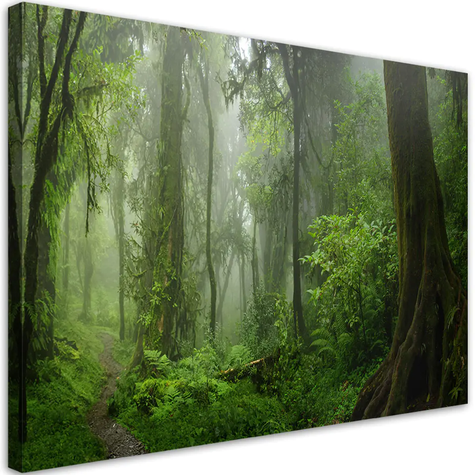 ⁨Obraz na płótnie, Tropikalny las dżungla (Rozmiar 60x40)⁩ w sklepie Wasserman.eu