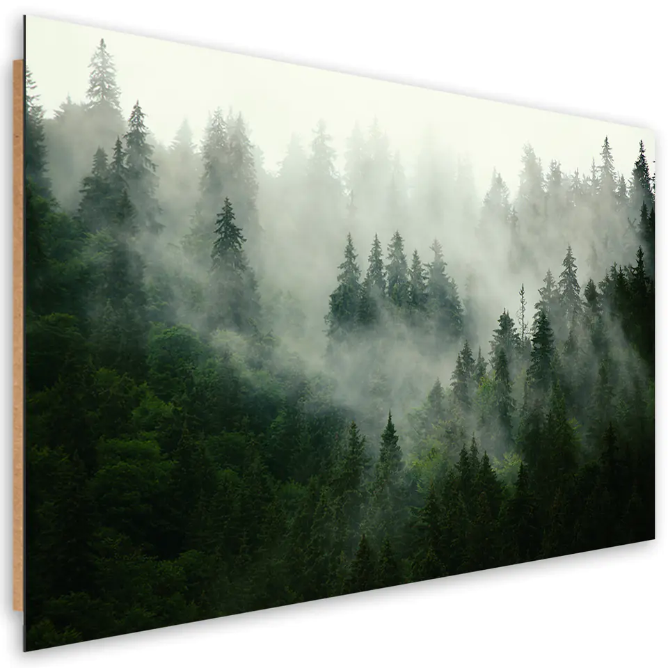 ⁨Obraz Deco Panel, Las we mgle (Rozmiar 90x60)⁩ w sklepie Wasserman.eu