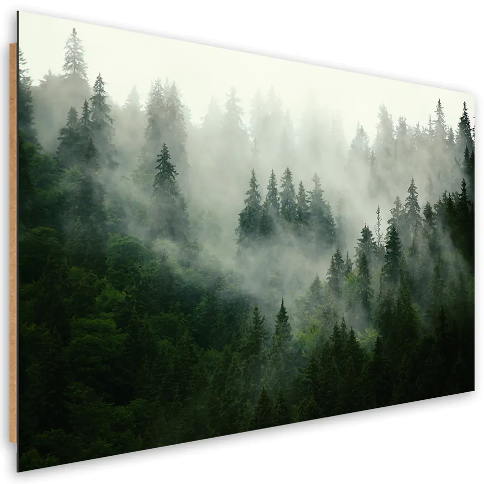⁨Obraz Deco Panel, Las we mgle (Rozmiar 60x40)⁩ w sklepie Wasserman.eu