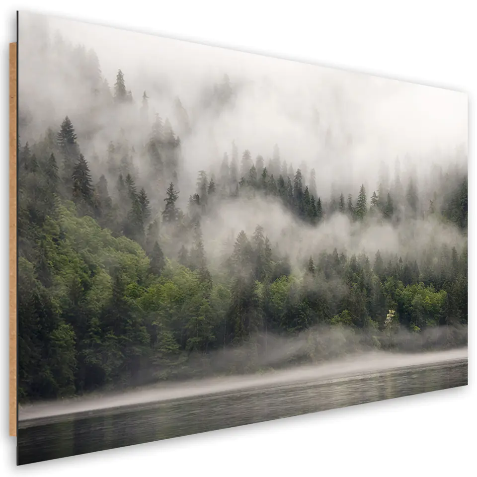 ⁨Obraz Deco Panel, Las we mgle (Rozmiar 60x40)⁩ w sklepie Wasserman.eu