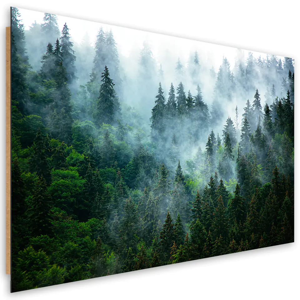 ⁨Obraz Deco Panel, Las we mgle (Rozmiar 60x40)⁩ w sklepie Wasserman.eu